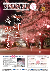 広報きさらづ3月号表紙。桜灯る春のよる、という文字の背景に、太田山公園の夜桜ライトアップの様子が一枚絵の写真で大きく掲載されている。