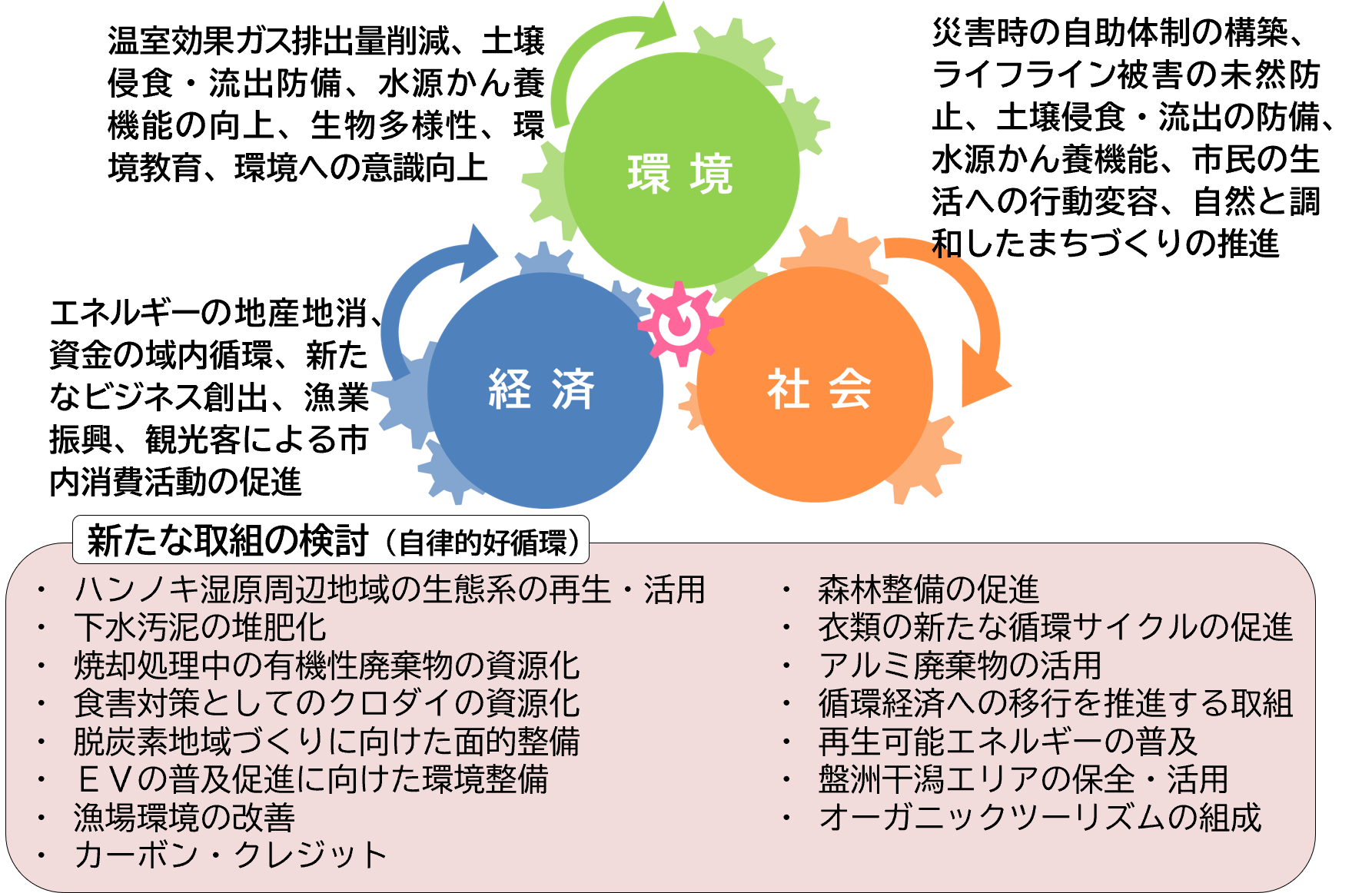 地域循環共生圏の視点(木更津発脱炭素化プロジェクト)