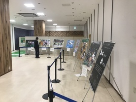 会場の壁側に数枚のパネルが間隔をあけて展示され、1名の来場者が見学しているパラスポーツ写真展の様子の写真
