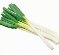 長ネギの全体画像