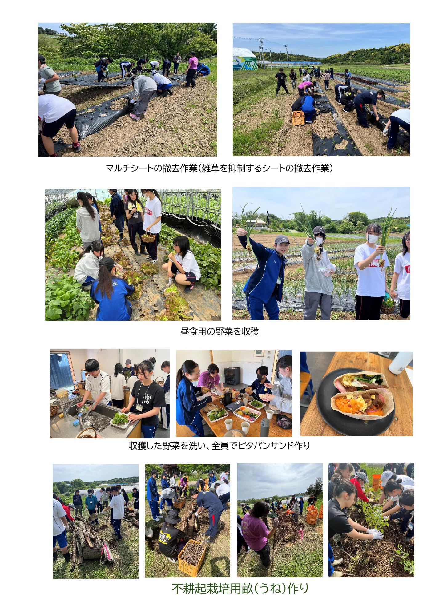 5月11日に開催した高校生食農教育講座の写真2枚目