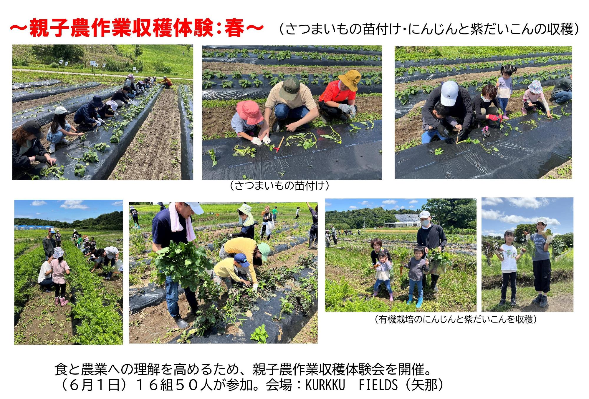 6月1日に開催した親子の農作業収穫体験会で、苗付けや野菜を収獲している様子の写真