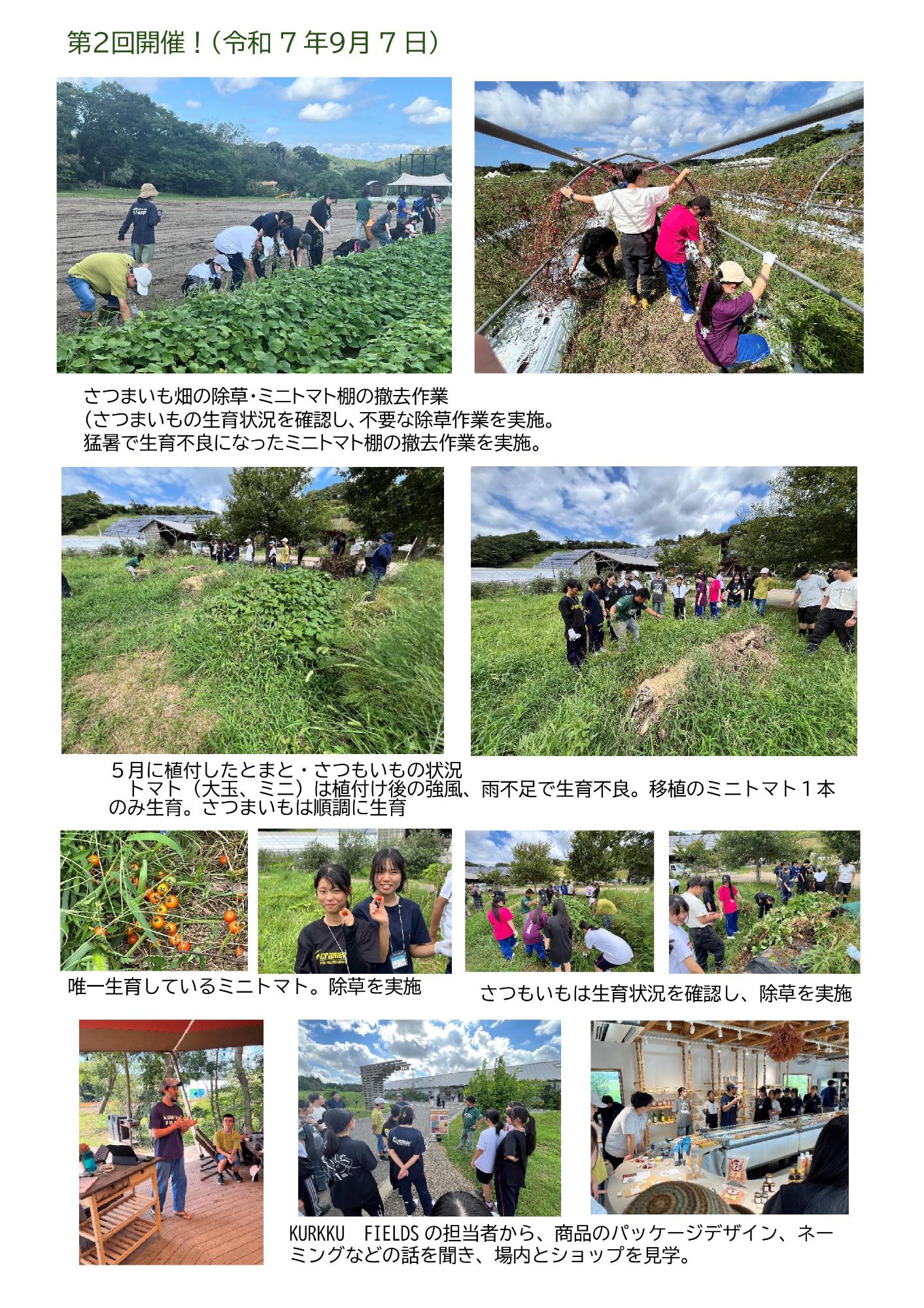 第2回高校生食農講座で活動する高校生