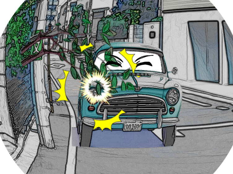 家から張り出した枝が車にぶつかる絵