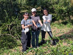 合同生徒会の女子中学生3名が採りたてのブルーベリーを紹介している写真