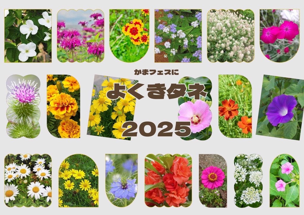 よくきタネの写真