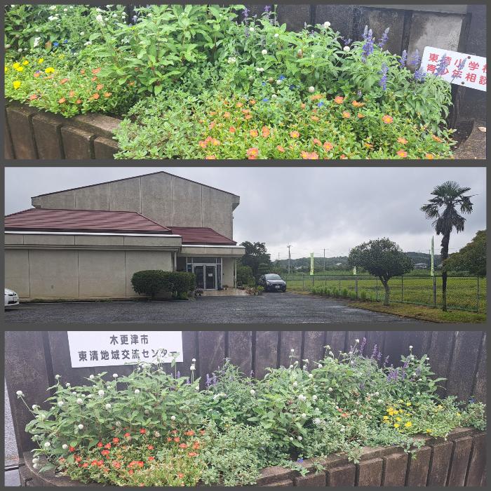 正門の左右でびっしりと花を咲かせている花壇の様子。人が来ていない建物との対比が面白い。