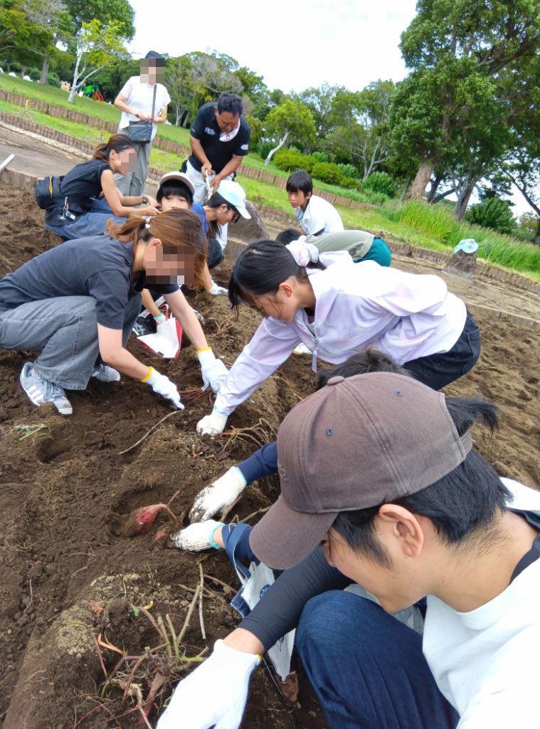 キッズわくわく体験隊の子どもたち、そしてその保護者と地域の方々がいも掘りをしている様子。