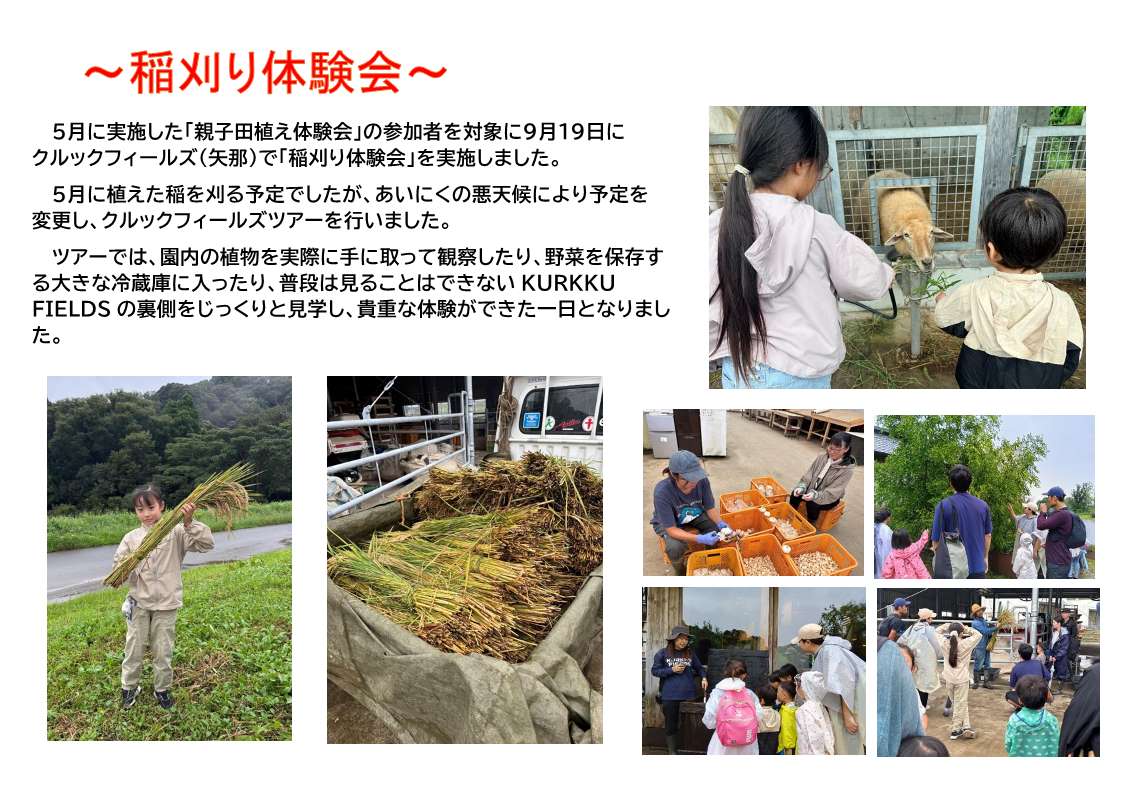 9月19日に開催した稲刈り体験会の様子
