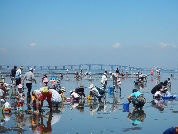 3月20日オープン 潮干狩り