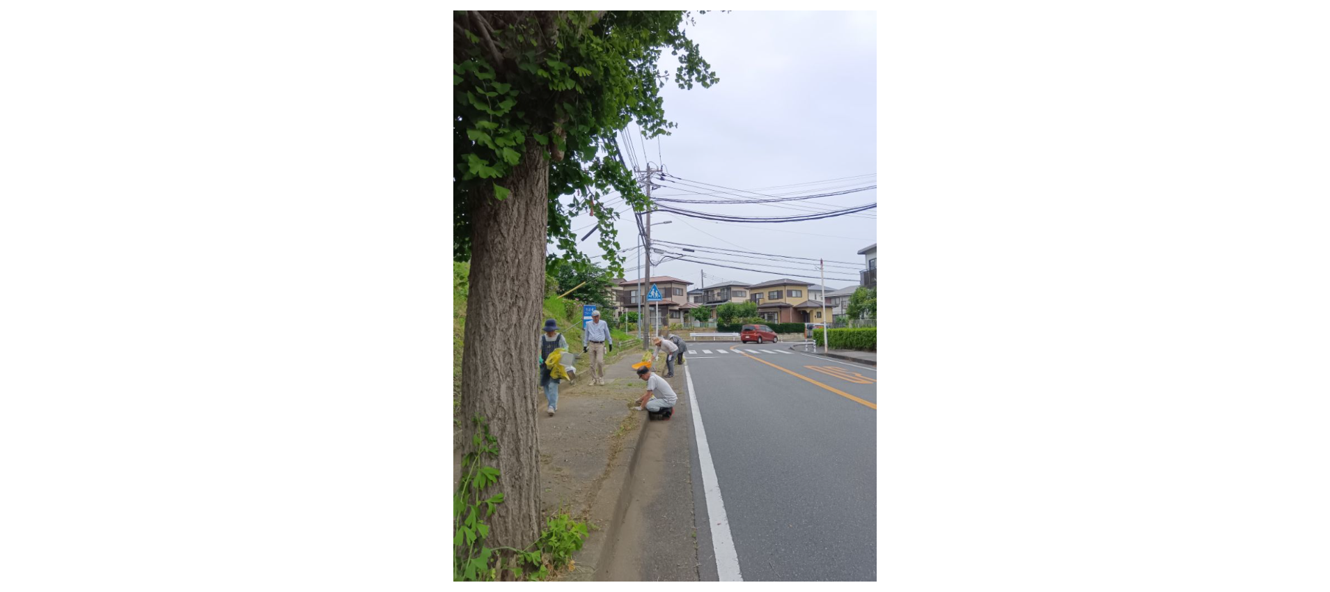 ゴミ袋を持った市民が歩道にあるごみを拾っている様子