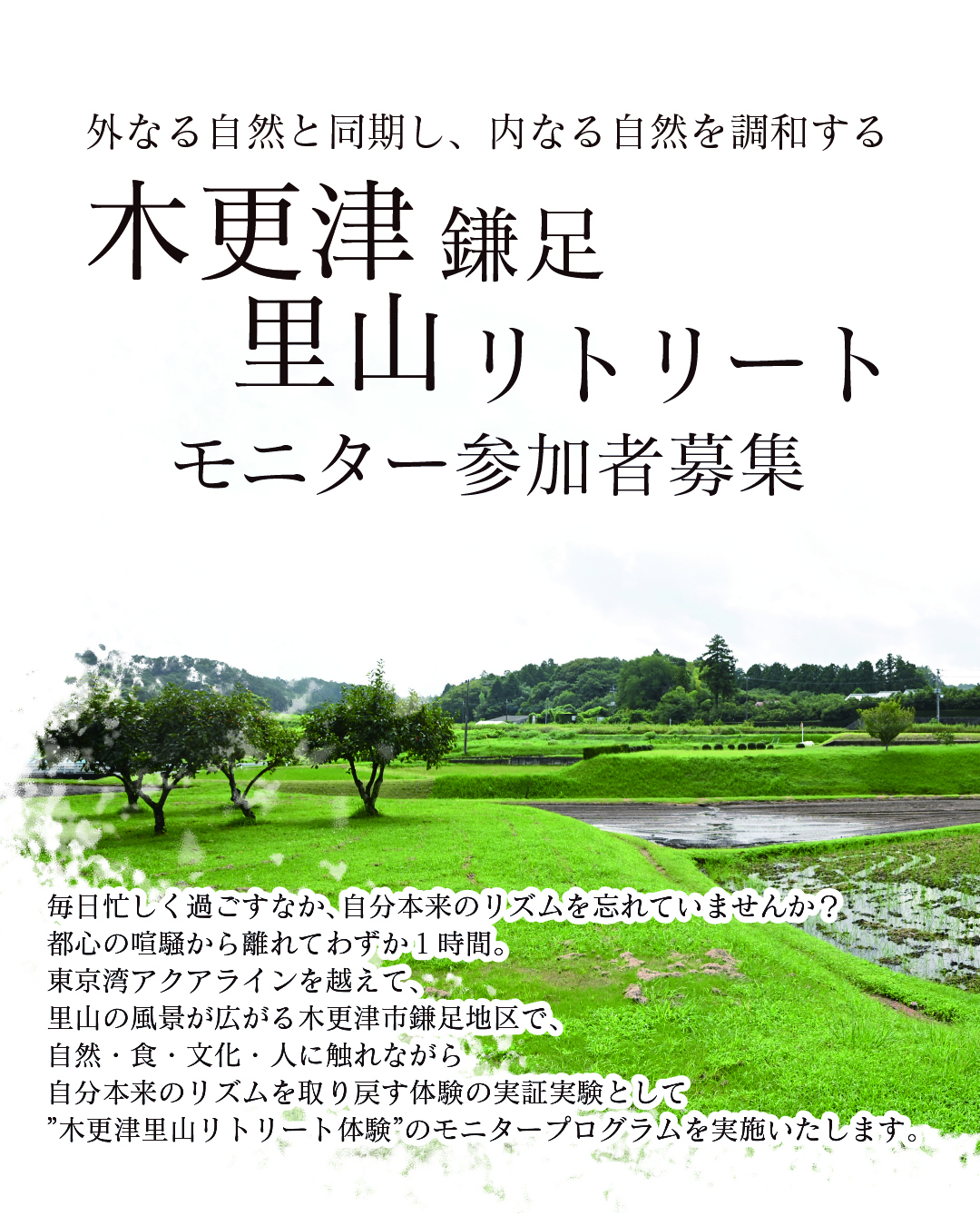 モニター参加者募集のチラシ