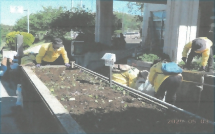 花壇に夏の花を植える準備の様子