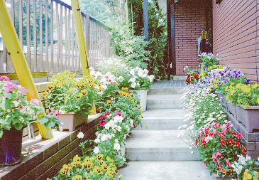 色とりどりの花が並んだプランター