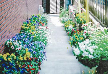 色とりどりの花が並んだプランター