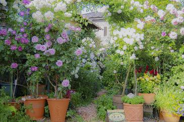 色とりどりの花が並んだプランター