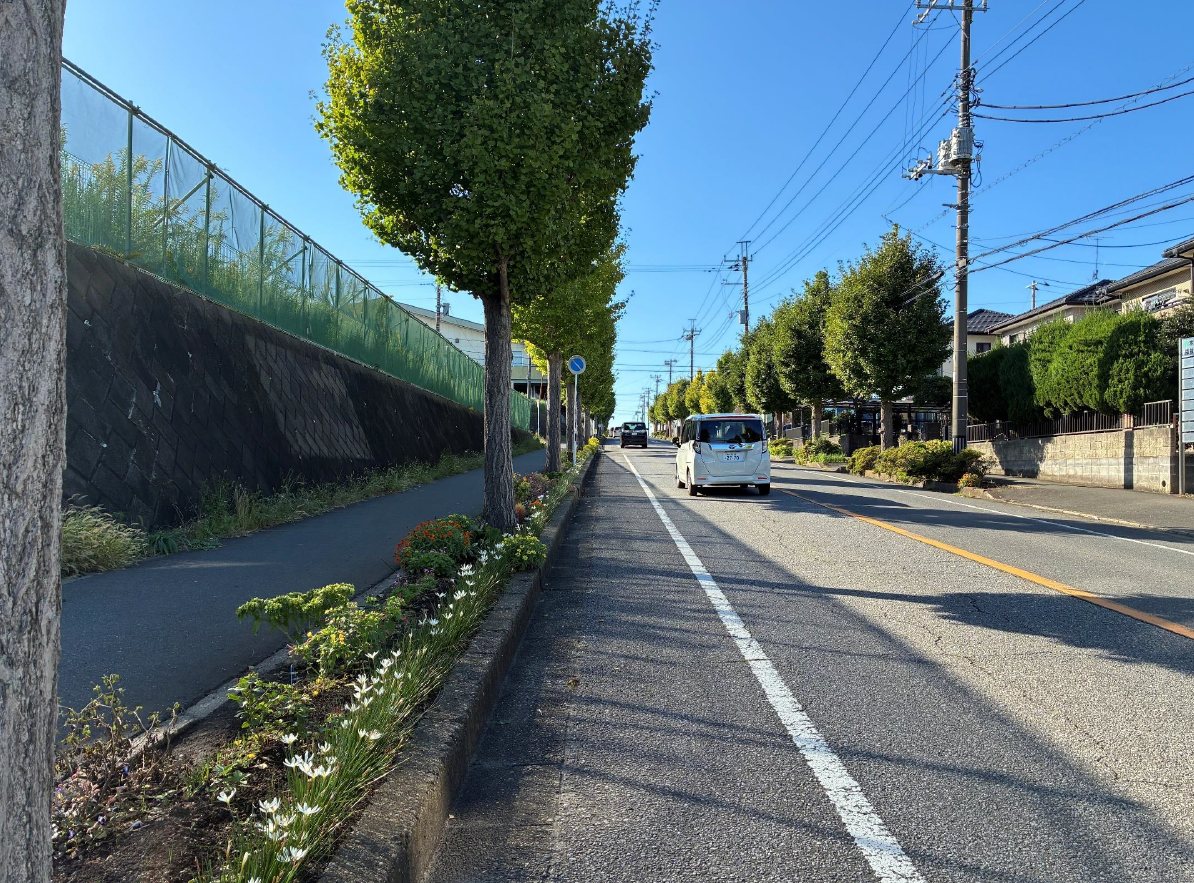 道路附帯地に花壇や樹木が整備されている