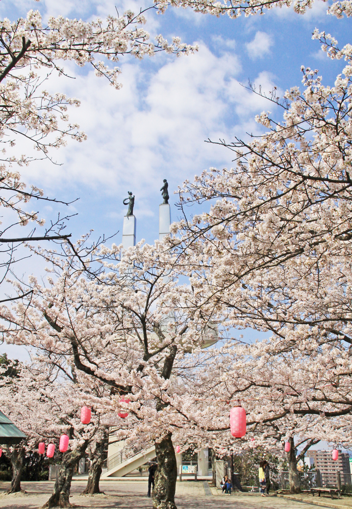 満開の桜の上に、きみさらずタワーの向かい合って立つ、やまとたけるのみことと、おとたちばなひめの像が見える、太田山公園の写真