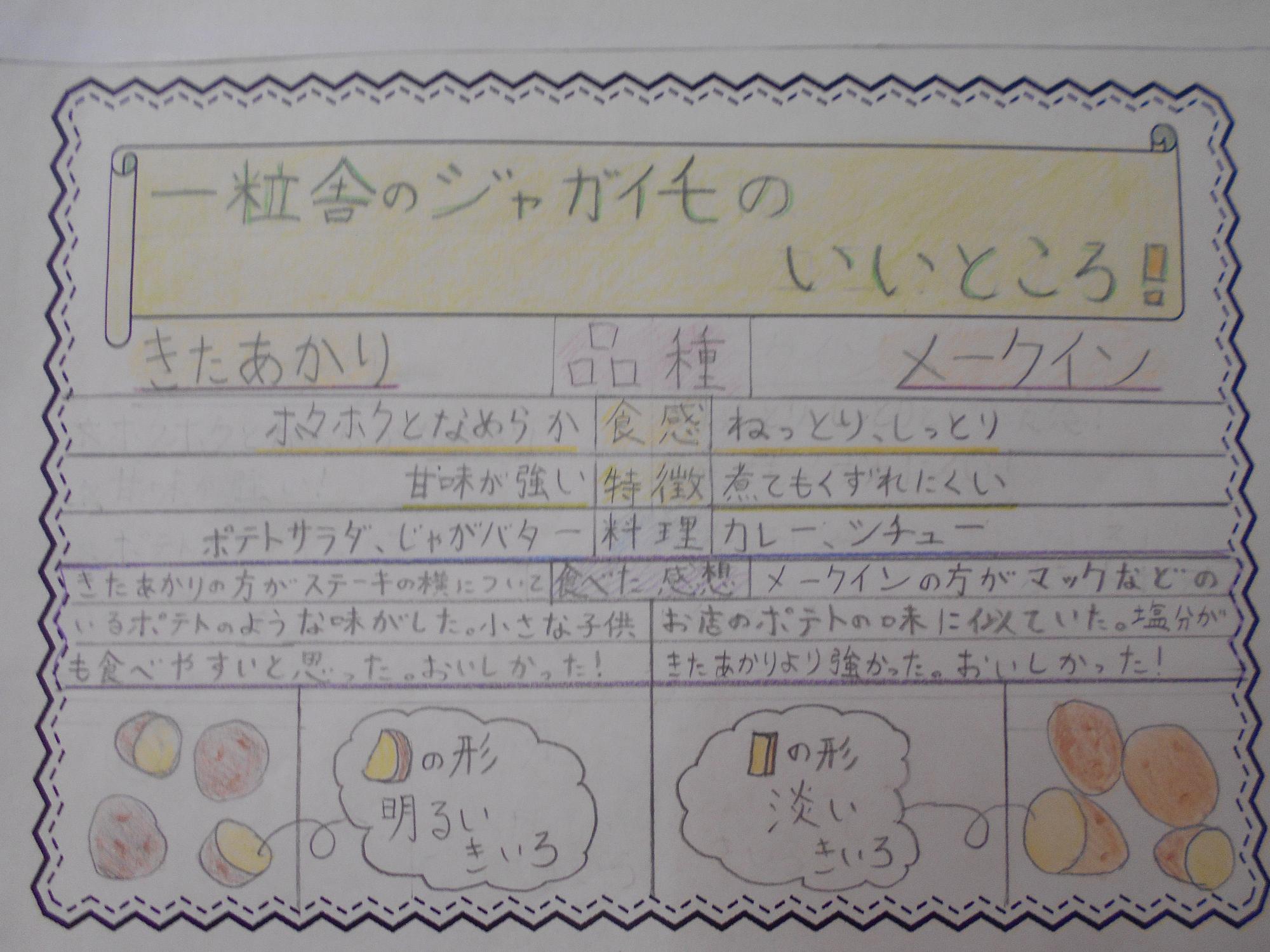 6年生が考えた紹介文。じゃがいもの特徴と食べた感想が書かれている。下には、じゃがいもの特徴をイラストで説明。