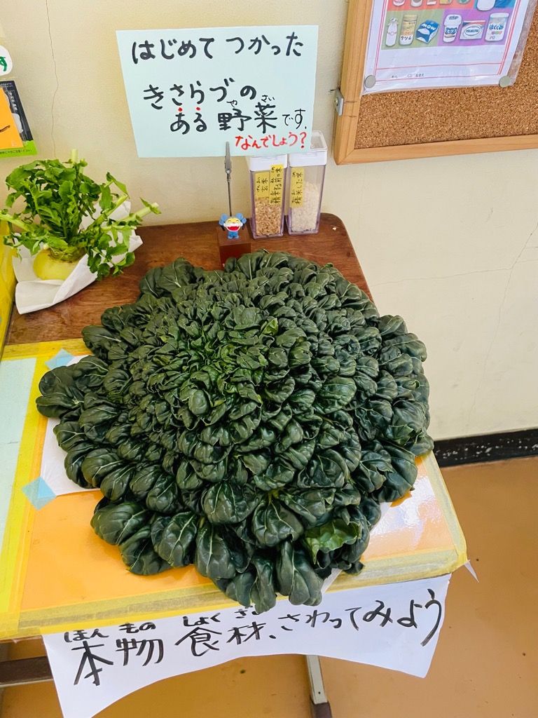 ターサイが机の上に載っている写真