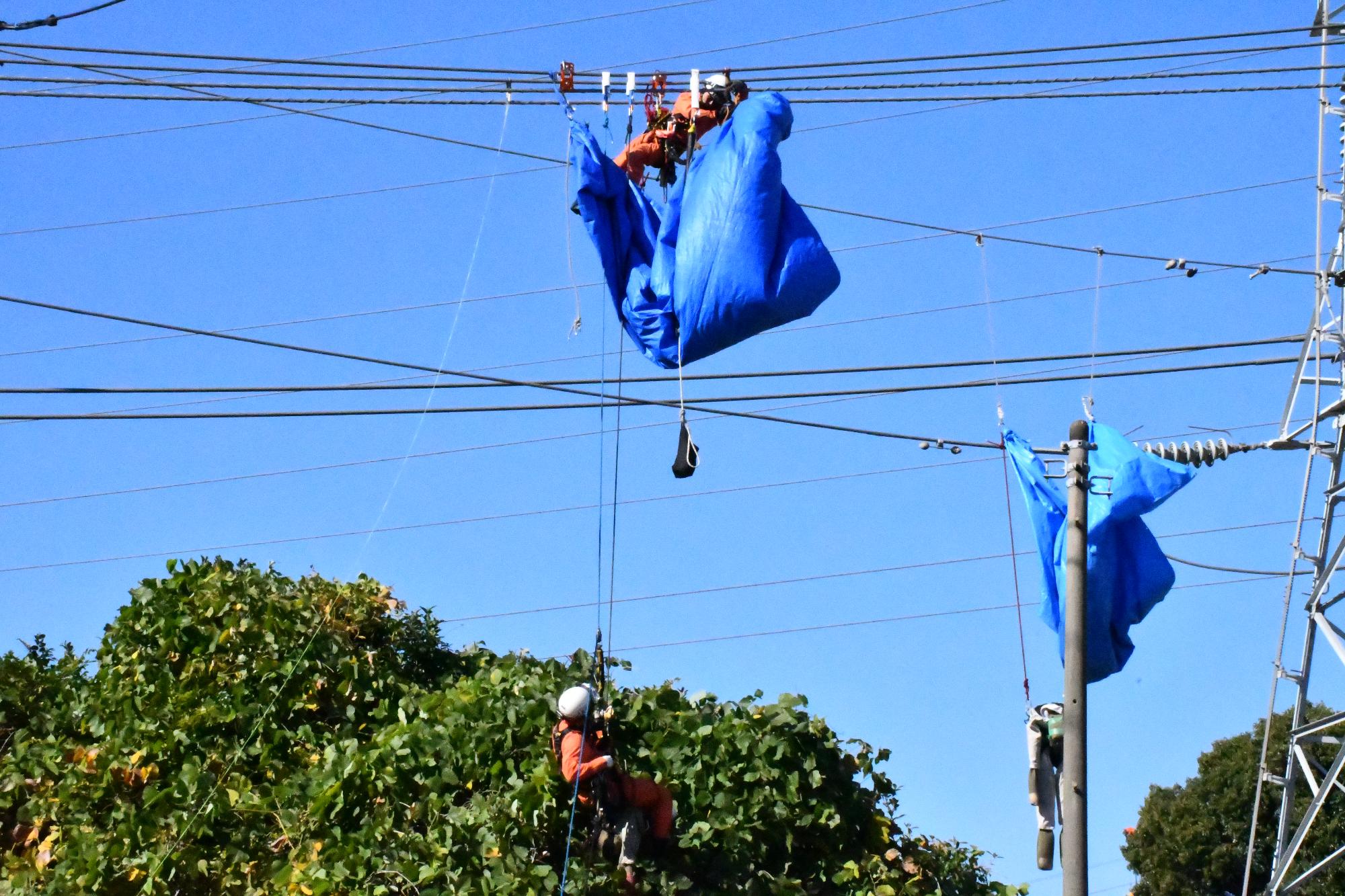 青空の下、オレンジ色の救助服を着用した救助隊員2名が電線にぶら下がっている訓練用人形を救出しようとしている様子