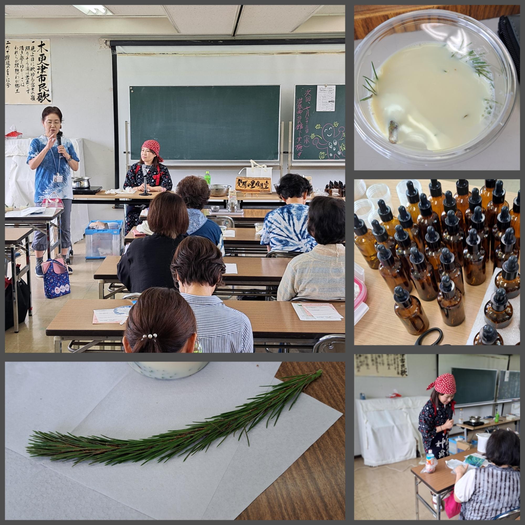 松の葉を使って発酵を学ぶみなさん。