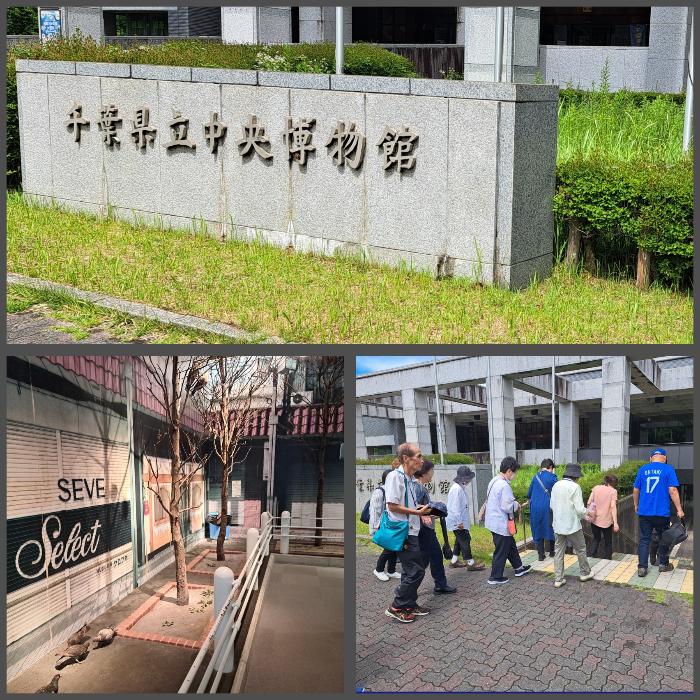 千葉県立中央博物館に入っていく皆さんと中の一部
