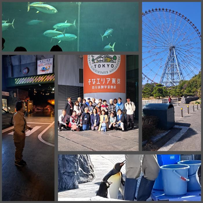 公民館運営協力委員会の移動研修。葛西臨海水族園のマグロ遊泳やペンギンの展示。そなエリアでの防災体験の様子。